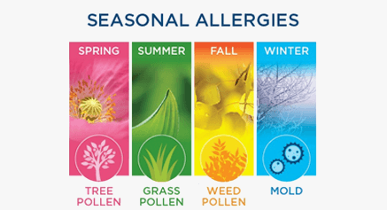 Homeopathy for Seasonal Allergies